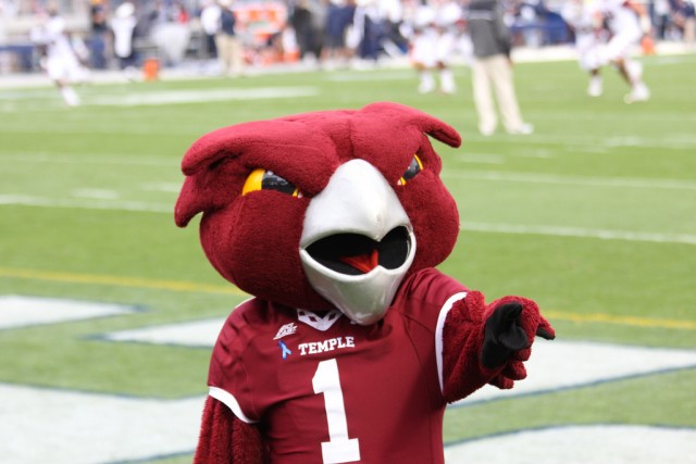 temple owls